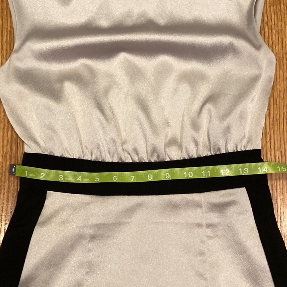 The Limited Black and Silver Dress Size 2